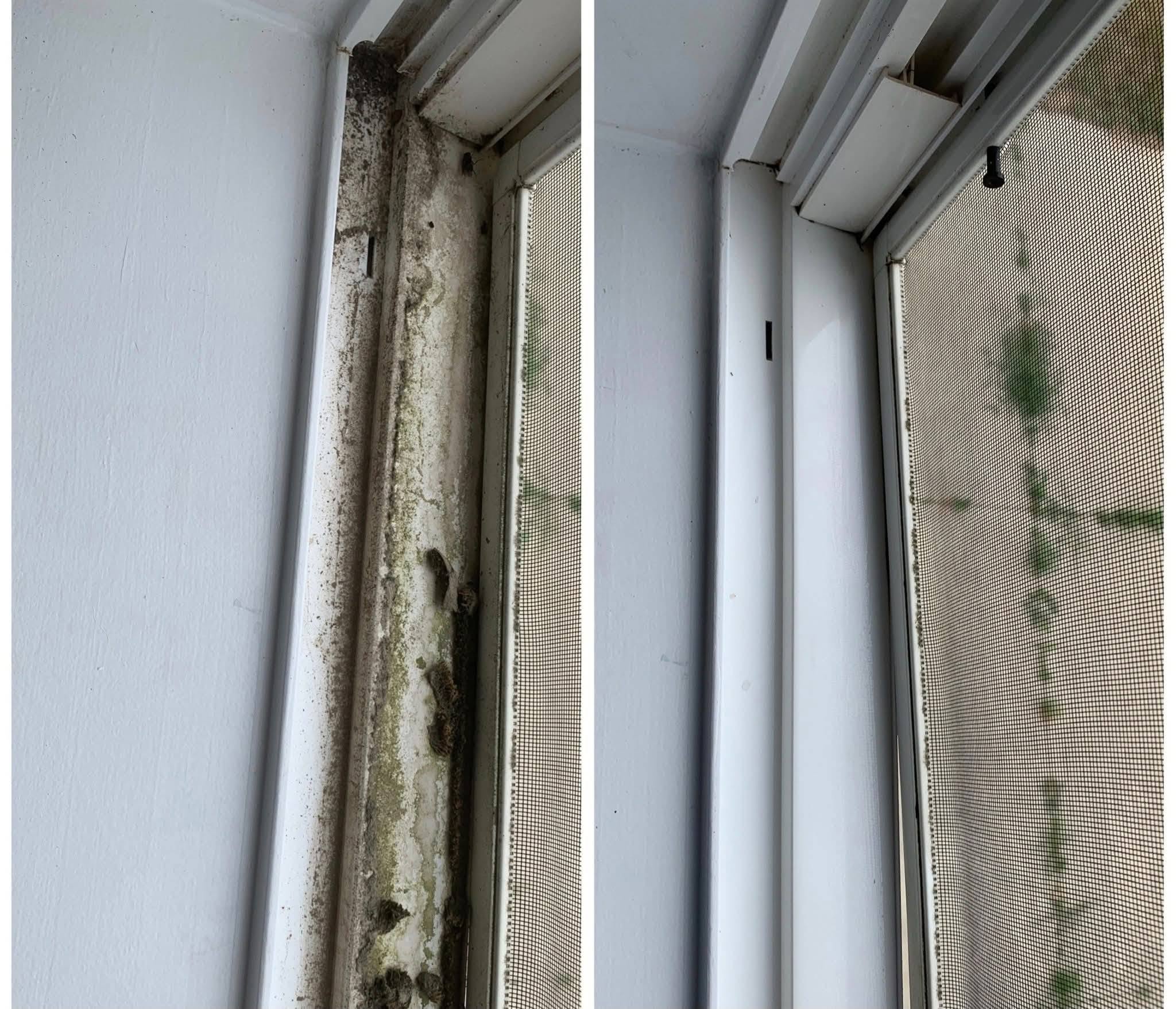 Before and after cleaning of a window track